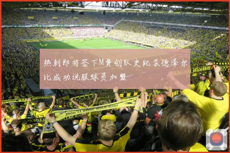 热刺即将签下M费创队史纪录德泽尔比成功说服球员加盟